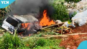 Five dead as passenger bus bursts into flames after highway crash