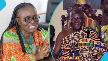 Asantehene intervenes in lawsuits against re-appointment of KNUST Vice-Chancellor Prof Rita Akosua Dickson