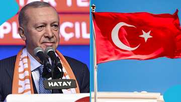 Türkiye launches a website where foreigners from any country can find jobs, relocate abroad