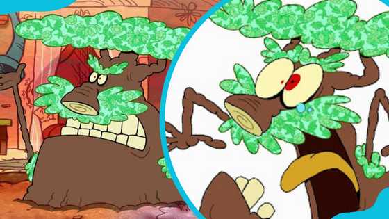 Chowder Tree 20 most popular Chowder characters ranked: Roles and personality ...