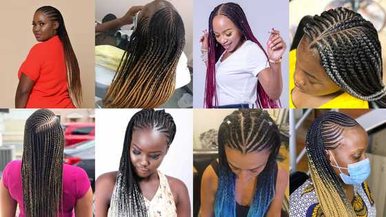 50+ cornrow rasta styles in 2022: amazing styles guaranteed to turn ...