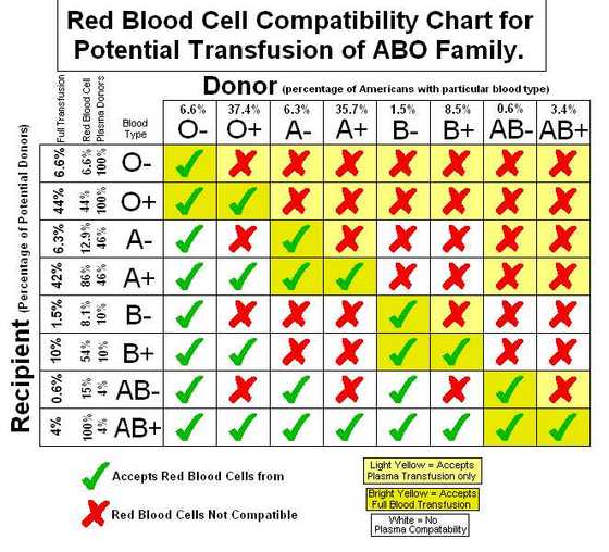 Blood type genotypes and their characteristics in human beings