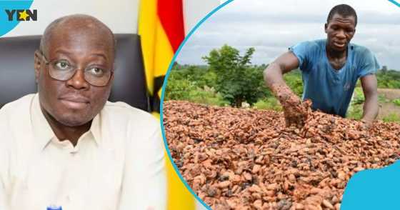 75-Year-Old Visually Impaired Farmer Offers to Donate Cocoa Price ...