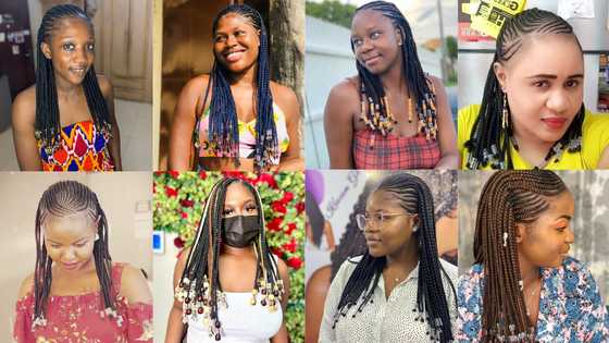 50+ cornrow rasta styles in 2022: amazing styles guaranteed to turn ...