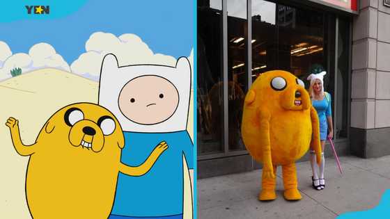Yellow Dog Character Rapper 30 famous yellow cartoon characters of all time ranked - YEN.COM.GH