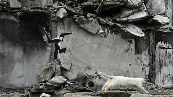 Banksy unveils Ukraine mural in town bombed by Russia