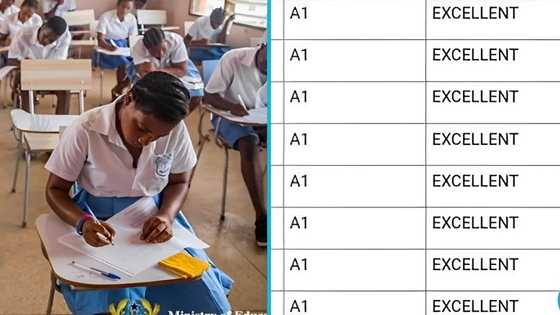 Bompata Presby SHS girl who scored 8As in WASSCE seeks financial help to further her education