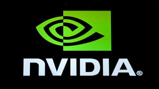 Nvidia revenue rockets on demand for powerful chips