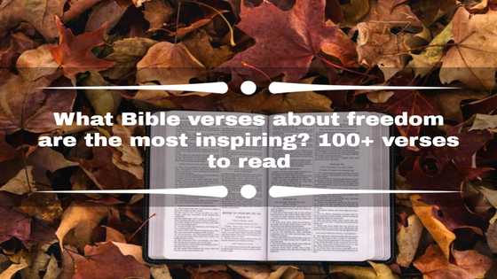 What Bible verses about freedom are the most inspiring? 100+ verses to read
