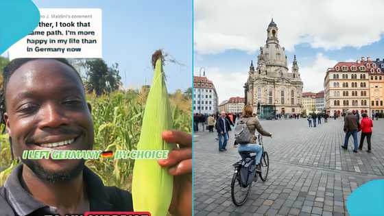 Man abandons Mercedes job in Germany to live in Ghana, talks about booming farming business