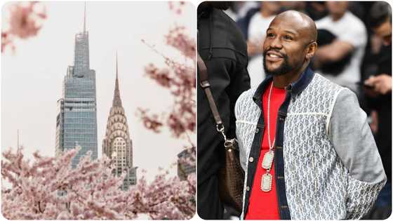 Mayweather reveals how many skyscrapers he owns in New York as he dismisses flashy lifestyle claims