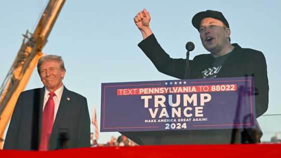 Tesla shares soar pre-market as Trump hails 'genius' Musk