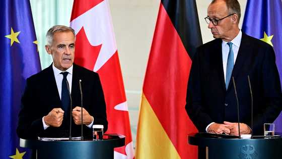 Germany, Canada to cooperate on key raw materials