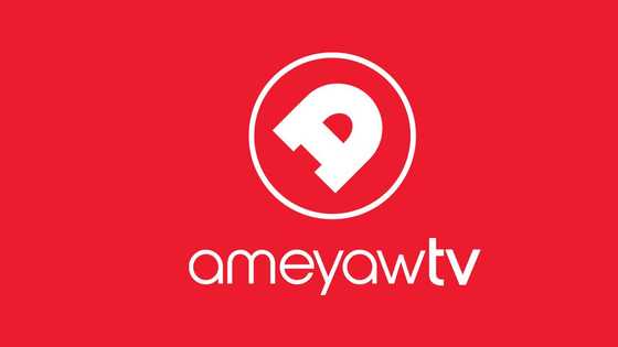 Ameyaw TV announces strategic rebrand with four new content verticals