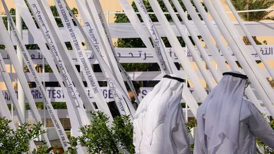 China sees progress at climate talks as OPEC fights for fossil fuels