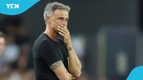 Luis Enrique: PSG manager rushed to hospital for emergency surgery after accident