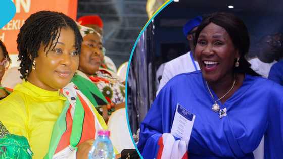 What you need to know about the partial rerun in Ablekuma North election constituency