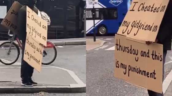 Man wears placard with his sins written on in public after cheating on girlfriend