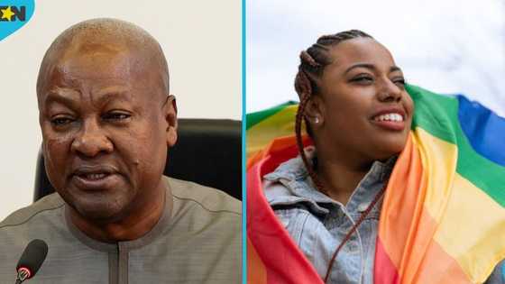 Mahama raises procedural concerns over anti-LGBTQ+ bill passage
