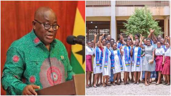 Akufo-Addo's most-cherished Free SHS under review amid economic hardship