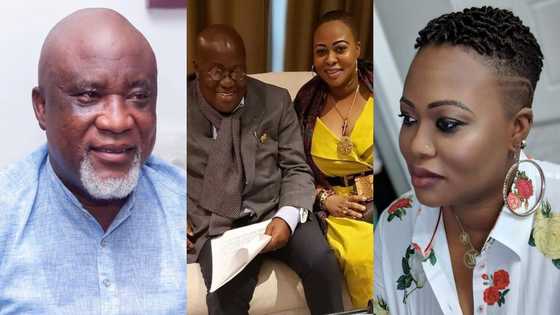 Hopeson Adorye speaks on Serwaa Broni's claims against Akufo-Addo; sends strong warning