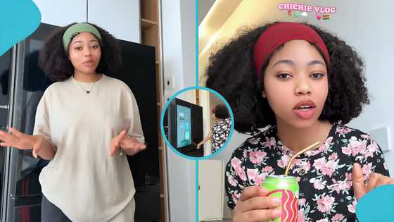 Quitachie buys smart fridge for GH¢40,000 as she furnishes new apartment