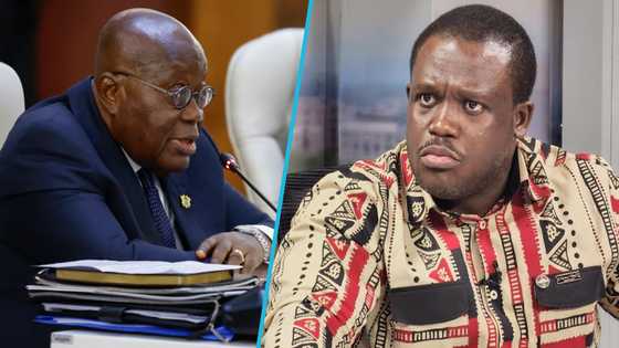 "You cannot be trusted": Sam George blasts Akufo-Addo over refusing to accept Ani-LGBT bill