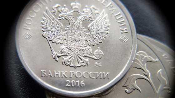 Russia cuts interest rates from two-decade high as economy slows