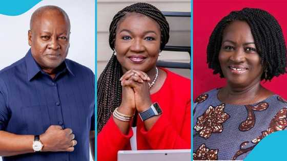 Mahama Wins: NDC lists its plans for the first 100 days in office, video drops