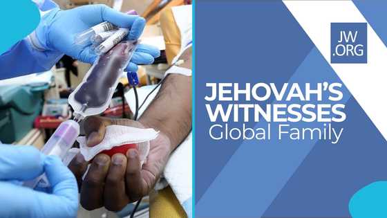 Jehovah’s Witnesses ease blood transfusion policy, allow storage and use of own blood