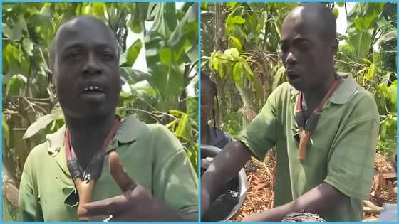 Ghanaian charcoal seller asks unemployed graduates to submit applications for employment
