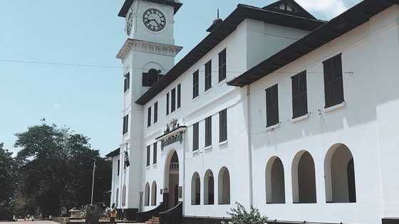 Two Achimota old students killed in hit-and-run after attending Alma Mater's bonfire event