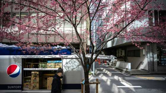 Japan's core inflation rate slows to 3% in Feburary