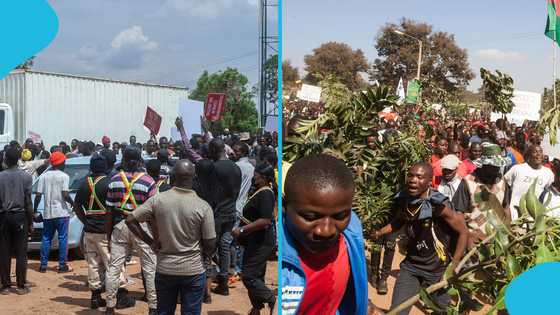 Malawian nationals clash with police during protest outside Durban repatriation camp