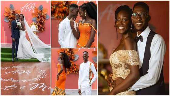Lady weds photographer she met at her friend's birthday party in 2016, their wedding photos go viral