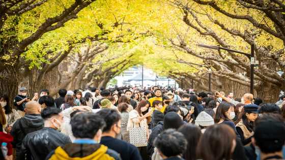 Japan's economy shrinks unexpectedly in third quarter