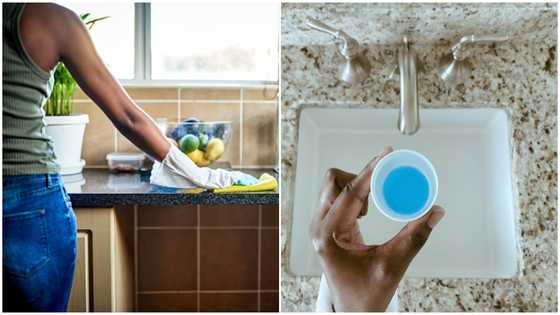 4 simple solutions to keep one's home safe from houseflies