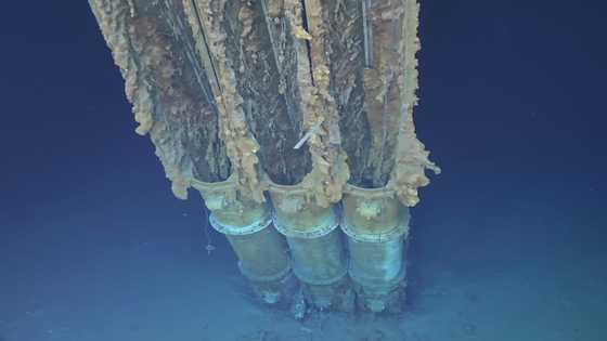 'Deepest shipwreck': US WWII ship found off Philippines
