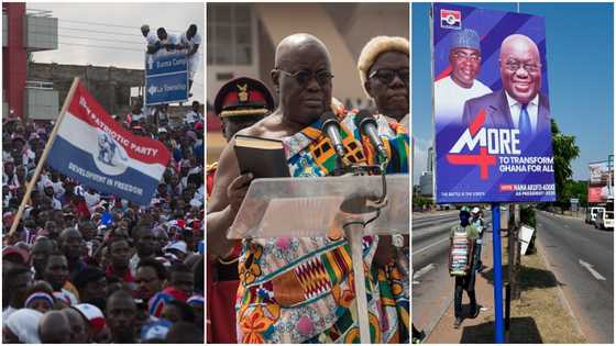 It doesn't look good for the NPP in 2024: Experts assess party's chances