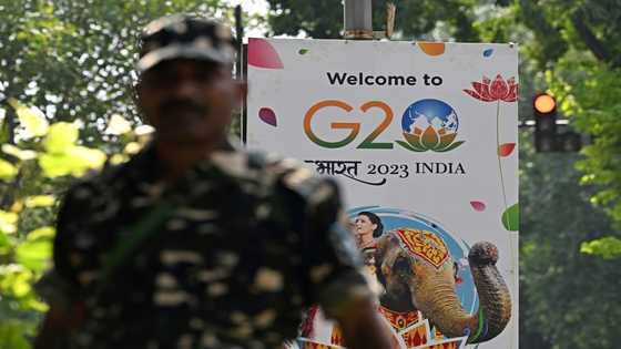 G20: India's New Delhi readies for global summit