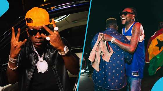 Shatta Wale flaunts Str8 Vybz drink Vybz Kartel gifted him on Jamaica trip, video excites fans