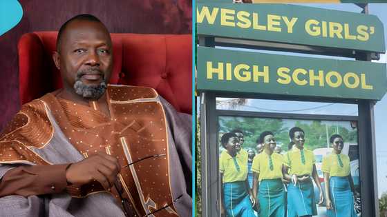 Shafic Osman vs Wesley Girls: Man calls on Mahama to sack Attorney General, details emerge