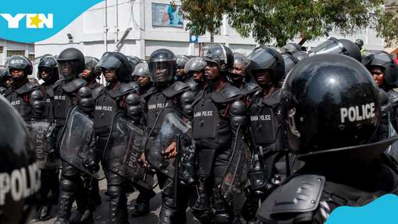 Police recover three stolen vehicles, arrest seven suspects