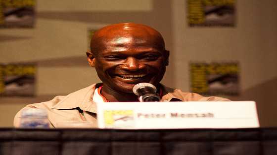 Peter Mensah movies, net worth, wife, age, bio and many more