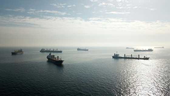 Ukraine grain shipments resume as Russia rejoins deal