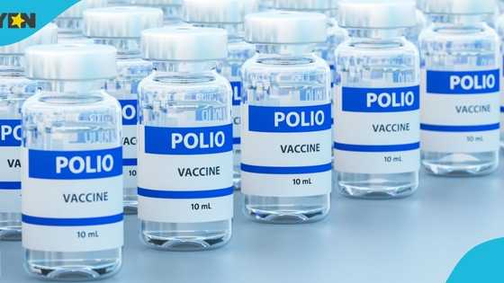STMA aims to vaccinate 10,390 children under five years with IPV2 vaccine