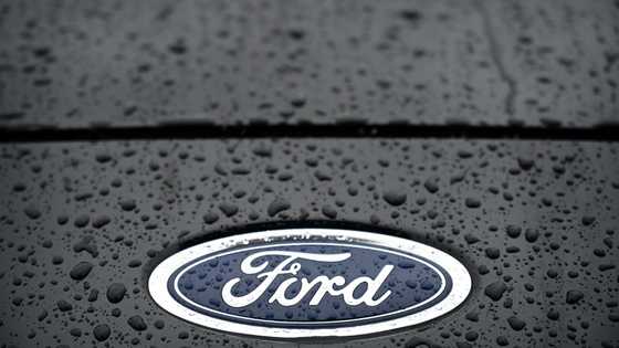 Ford profits tumble on higher costs, hitting shares