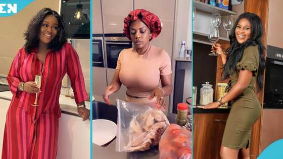 The luxurious kitchens of McBrown, Jackie Appiah, Nana Aba Anamoah, Delay, and Berla Mundi pop up