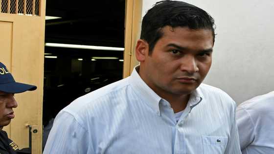 Honduran hydroelectric executive jailed for environmentalist murder