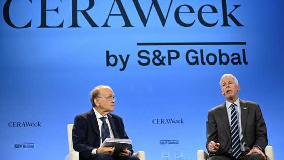 EU, US eye greater energy ties amid Trump frictions